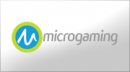 MicroGaming Review